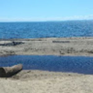 Meet your Posher, Alexandre